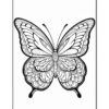 A detailed black and white illustration of a butterfly featuring intricate patterns, suitable for coloring.