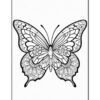 A detailed black outline of a butterfly with intricate wing patterns and floral designs on both sides.