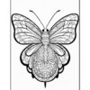 Intricate black and white butterfly illustration with detailed patterns, ready for coloring.