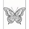A detailed black and white illustration of a butterfly with intricate patterns and designs throughout its wings.