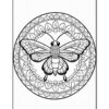 Intricate black and white butterfly illustration surrounded by a circular mandala design.