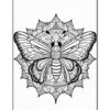 A detailed black and white illustration of a butterfly surrounded by intricate floral designs.