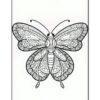 A detailed black and white coloring page featuring an intricately designed butterfly.