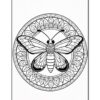A detailed black and white coloring page featuring a large butterfly centered within a circular mandala design.
