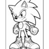 Sonic the Hedgehog, a blue anthropomorphic character with spiky hair and red shoes, stands confidently with clenched fists.