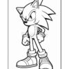 Sonic the Hedgehog stands confidently with a smirk, featuring his iconic spiky blue fur and red sneakers.