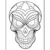Intricate skull design featuring web patterns on the forehead and detailed shading around the eyes and mouth.