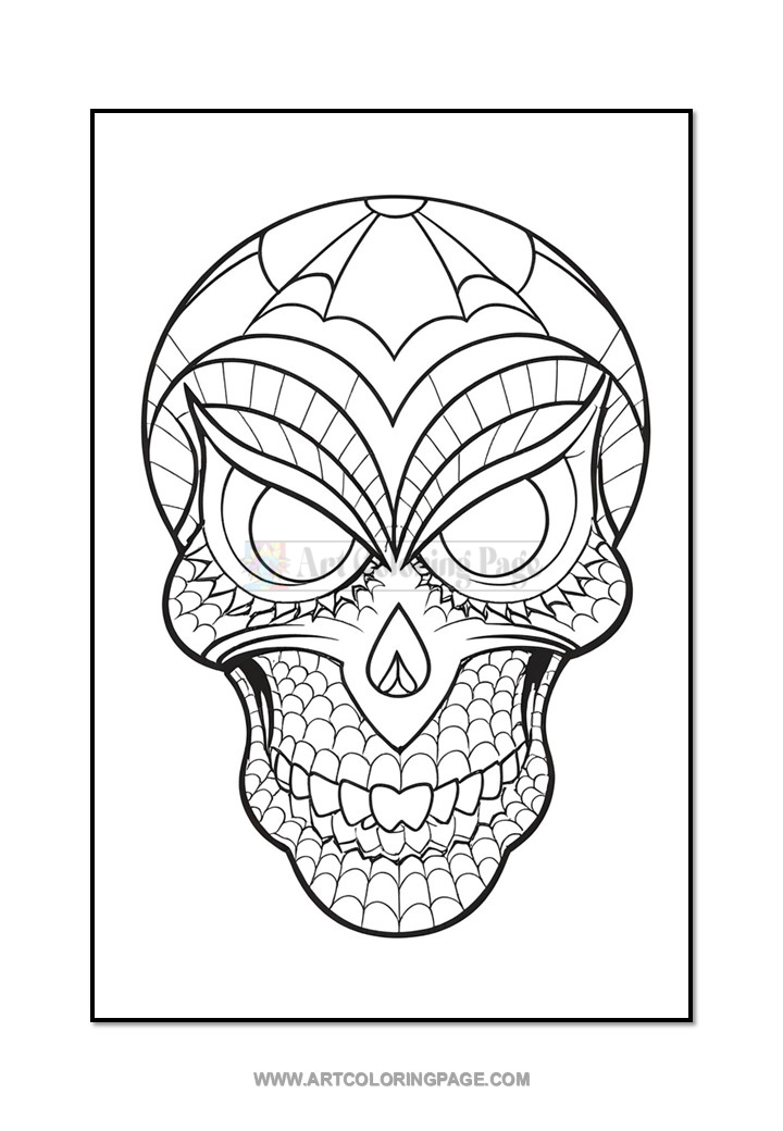 Intricate skull design featuring web patterns on the forehead and detailed shading around the eyes and mouth.