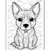 A black and white line drawing of a corgi dog with large expressive eyes, sitting against a background of flowing abstract patterns. The corgi features prominent ears and a distinctive coat with wavy lines, ready for coloring.