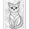 A black and white line drawing of a cat sitting upright, featuring large expressive eyes and a symmetrical face, surrounded by swirling patterns in the background. The cat has distinctive striped markings on its body and a long, curled tail.