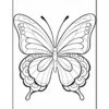 A black and white outline illustration of a butterfly with detailed wing patterns and decorative elements.