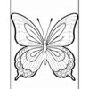 A black and white line drawing of a butterfly with detailed wings and floral patterns on either side, set against a plain background.