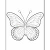 A black and white line drawing of a butterfly, featuring detailed wing patterns and two antennae at the top, surrounded by a simple border.