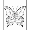 A detailed black and white outline illustration of a butterfly, featuring symmetrical wings with intricate patterns and decorative elements, set against a plain white background.