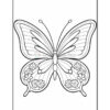 A black and white outline drawing of a butterfly with detailed wings and flowers along the lower edges.