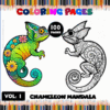 Coloring page featuring a vibrant chameleon mandala and a detailed black-and-white design, promoting artcoloringpage.com's mandala coloring book.