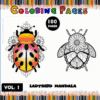 Ladybird mandala coloring pages from artcoloringpage.com, featuring a colorful design on one side and a black-and-white outline on the other.
