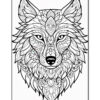 A detailed black and white illustration of a wolf's face, featuring intricate floral and geometric patterns in the fur and around the face, emphasizing its expressive eyes and nose.