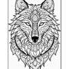 A detailed line drawing of a wolf's head, surrounded by intricate floral patterns and mandala designs, creating an ornamental effect.