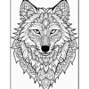 A detailed line drawing of a wolf's head, featuring intricate floral and geometric patterns throughout, with a symmetrical design emphasizing the animal's eyes, nose, and fur.