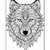 A detailed coloring page illustration of a wolf's face, featuring intricate line work and floral patterns integrated into the fur and facial features, set on a white background.