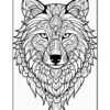 A detailed black and white illustration of a wolf's face surrounded by intricate floral patterns and decorative elements, set against a plain background.